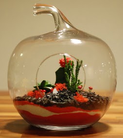 Elma Terrarium 3 kakts orta boy Ankara Yenimahalle Atlantis alveri elence merkezi AVM iek siparii iekiler