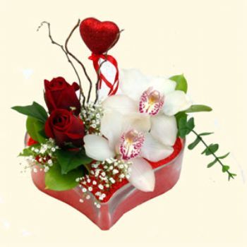 Ankara Bat Park AVM hediye sevgilime hediye iek 1 kandil orkide 5 adet kirmizi gl mika kalp