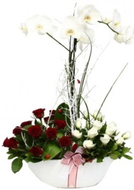 Tek dal beyaz orkide 8 beyaz 8 krmz gl Ankara ankaya Taurus AVM iekiler iek sat