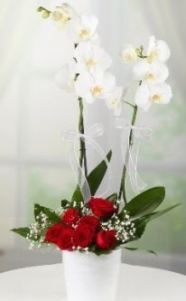 2 dall beyaz orkide 7 adet krmz gl Ankara Yenimahalle Atlantis alveri elence merkezi AVM iek siparii iekiler