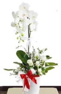 Tek dall beyaz orkide 5 beyaz gl Ankara ankaya Next Level AVM iek siparii sitesi