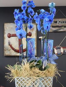 4 dall zel mavi orkide Ankara ankaya Arcadium Alveri Merkezi AVM iek siparii