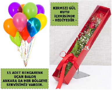 15 Adet uan balon ve kutuda krmz gl Ankara ankaya Kzlay Alveri Merkezi AVM iek ieki , iekilik 
