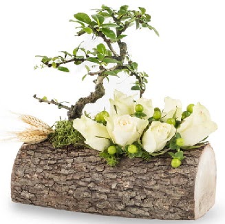 Doal ktkte bonsai aac ve 7 beyaz gl Ankara FTZ Alveri merkezi AVM iekiler iek gnder